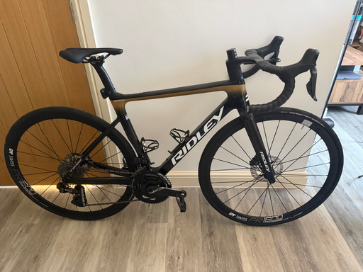 Ridley Falcn RS 2025