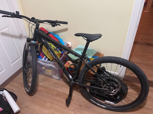 Cannondale Trail 29 5 2014