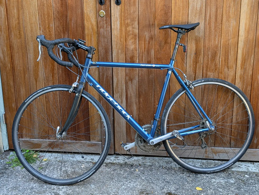Ridgeback Horizon 2010