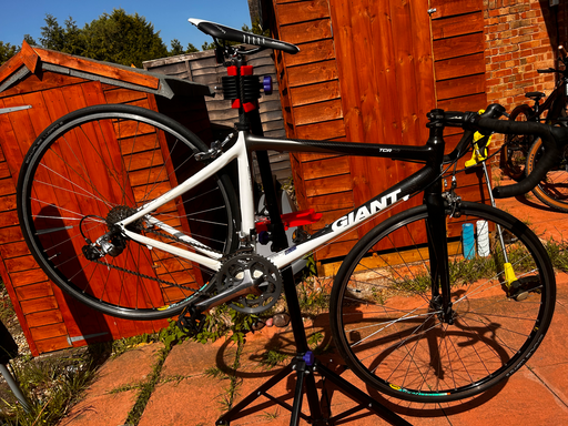 Giant TCR c3 2010